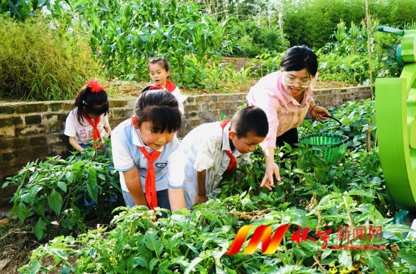 小菜園 大勞動2.JPG