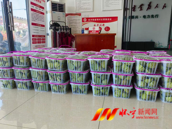 蓮蓬2.png 蓮蓬2.png