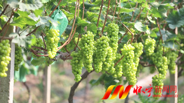 微信圖片_20240812104613.png 微信圖片_20240812104613.png