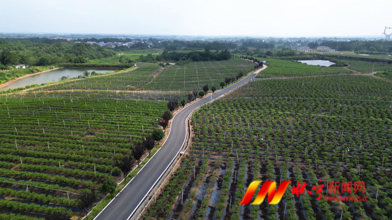 1237_副本.jpg 1237_副本.jpg