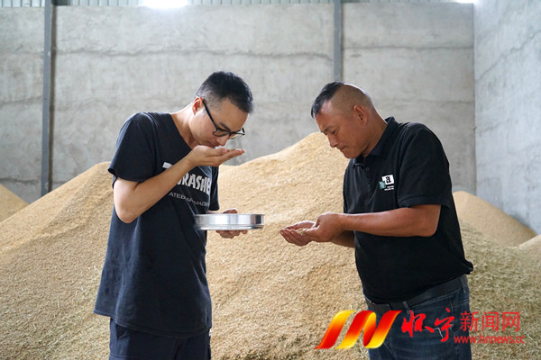 種糧“父子兵” 接續新“稻”路圖為父子二人在測試稻谷含水量。2.JPG